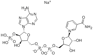 BETA-NICOTINAMIDE ADENINE DINUCLEOTIDE PHOSPHATE SODIUM SALT CAS#: 1184-16-3