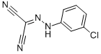CARBONYL CYANIDE 3-CHLOROPHENYLHYDRAZONE CAS#: 555-60-2