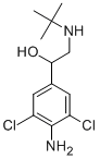CLENBUTEROL CAS#: 37148-27-9