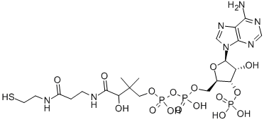 Coenzyme A CAS#: 85-61-0