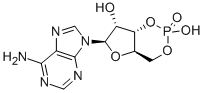 Cyclic AMP CAS#: 60-92-4