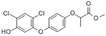 DICLOFOP METHYL, 5-HYDROXY CAS#: 124992-48-9