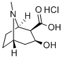 ECGONIN HCL CAS#: 5796-31-6