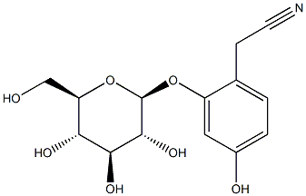 Ehretioside B CAS#: 156368-84-2