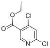 Ethyl 4,6-dichloronicotinate CAS#: 40296-46-6
