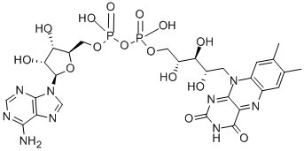 FLAVIN ADENINE DINUCLEOTIDE CAS#: 146-14-5