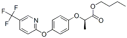 Fluazifop-P-butyl CAS#: 79241-46-6