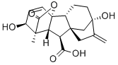 Gibberellic acid CAS#: 77-06-5