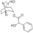 HOMATROPINE HYDROCHLORIDE CAS#: 637-21-8