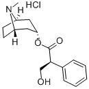 HYOSCYAMINE HYDROCHLORIDE CAS#: 5934-50-9
