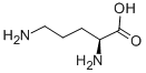 L-Ornithine CAS#: 70-26-8