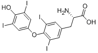 L-Thyroxine CAS#: 51-48-9