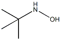 N-tert-butylhydroxylamine CAS#: 16649-50-6