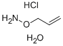 O-ALLYLHYDROXYLAMINE HYDROCHLORIDE CAS#: 206557-03-1