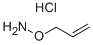 O-ALLYLHYDROXYLAMINE HYDROCHLORIDE CAS#: 38945-21-0