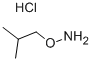 O-ISOBUTYLHYDROXYLAMINE HYDROCHLORIDE CAS#: 6084-58-8