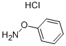 O-PHENYLHYDROXYLAMINE HYDROCHLORIDE CAS#: 6092-80-4