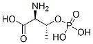 O-PHOSPHO-DL-THREONINE CAS#: 27530-80-9