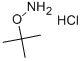 O-TERT-BUTYLHYDROXYLAMINE HYDROCHLORIDE CAS#: 39684-28-1