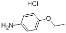 P-PHENETIDINE HYDROCHLORIDE CAS#: 637-56-9