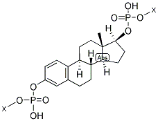 POLY(ESTRADIOL PHOSPHATE) CAS#: 34828-67-6