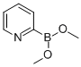 PYRIDINE-2-BORONIC ACID DIMETHYL ESTER CAS#: 136805-54-4