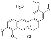 Palmatine chloride hydrate CAS#: 171869-95-7