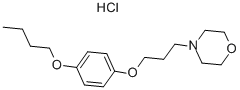 Pramoxine hydrochloride CAS#: 637-58-1