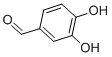 Protocatechualdehyde CAS#: 139-85-5