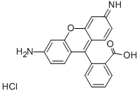 RHODAMINE 110 CAS#: 13558-31-1