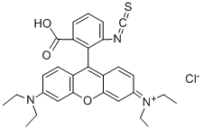 RHODAMINE B ISOTHIOCYANATE CAS#: 36877-69-7
