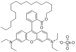 RHODAMINE B OCTADECYL ESTER PERCHLORATE CAS#: 142179-00-8