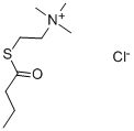 S-BUTYRYLTHIOCHOLINE CHLORIDE CAS#: 22026-63-7