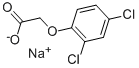 Sodium 2,4-dichlorophenoxyacetate CAS#: 2702-72-9