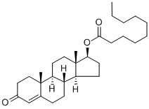 Testosterone decanoate CAS#: 5721-91-5