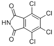 Tetrachlorophthalimide CAS#: 1571-13-7