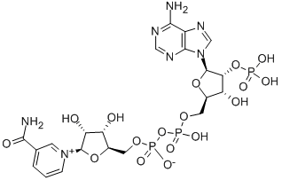 Triphosphopyridine nucleotide CAS#: 53-59-8