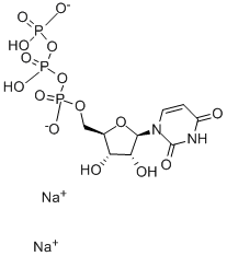 URIDINE-13C9, 15N2-5 TRIPHOSPHATE SODI U CAS#: 285978-18-9