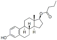 estra-1,3,5(10)-triene-3,17beta-diol 17-butyrate CAS#: 18069-79-9