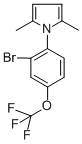 1-[2-BROMO-4-(TRIFLUOROMETHOXY)PHENYL]-2,5-DIMETHYL-1H-PYRROLE CAS#: 257285-02-2