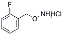1-[(AMMONIOOXY)METHYL]-2-FLUOROBENZENE CHLORIDE CAS#: 215599-91-0