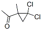 1-Acetyl-2,2-dichloro-1-methylcyclopropane CAS#: 2568-72-1