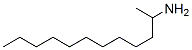 1-methylundecylamine CAS#: 13865-46-8