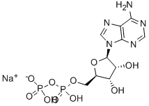 adenosine5’-diphosphate,monosodiumsaltdihydrate CAS#: 1172-42-5