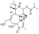 12-DEOXYPHORBOL 13-ISOBUTYRATE CAS#: 25090-74-8