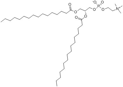 1,2-DIPALMITOYL-SN-GLYCERO-3-PHOSPHOCHOLINE CAS#: 63-89-8