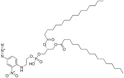 1,2-dipalmitoyl-sn-glycerol 3-((((4-azido-2-nitrophenyl)amino)ethyl)phosphate) CAS#: 110457-62-0