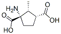 1,3-Cyclopentanedicarboxylicacid,1-amino-2-methyl-,(1S,2R,3R)-(9CI) CAS#: 207983-49-1