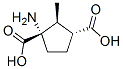 1,3-Cyclopentanedicarboxylicacid,1-amino-2-methyl-,(1S,2S,3R)-(9CI) CAS#: 207983-48-0