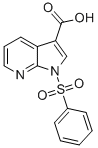 1H-Pyrrolo[2,3-b]pyridine-3-carboxylic acid, 1-(phenylsulfonyl)- CAS#: 245064-80-6